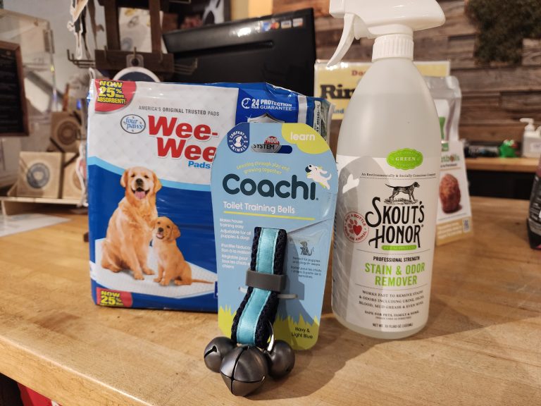Potty Training Essentials